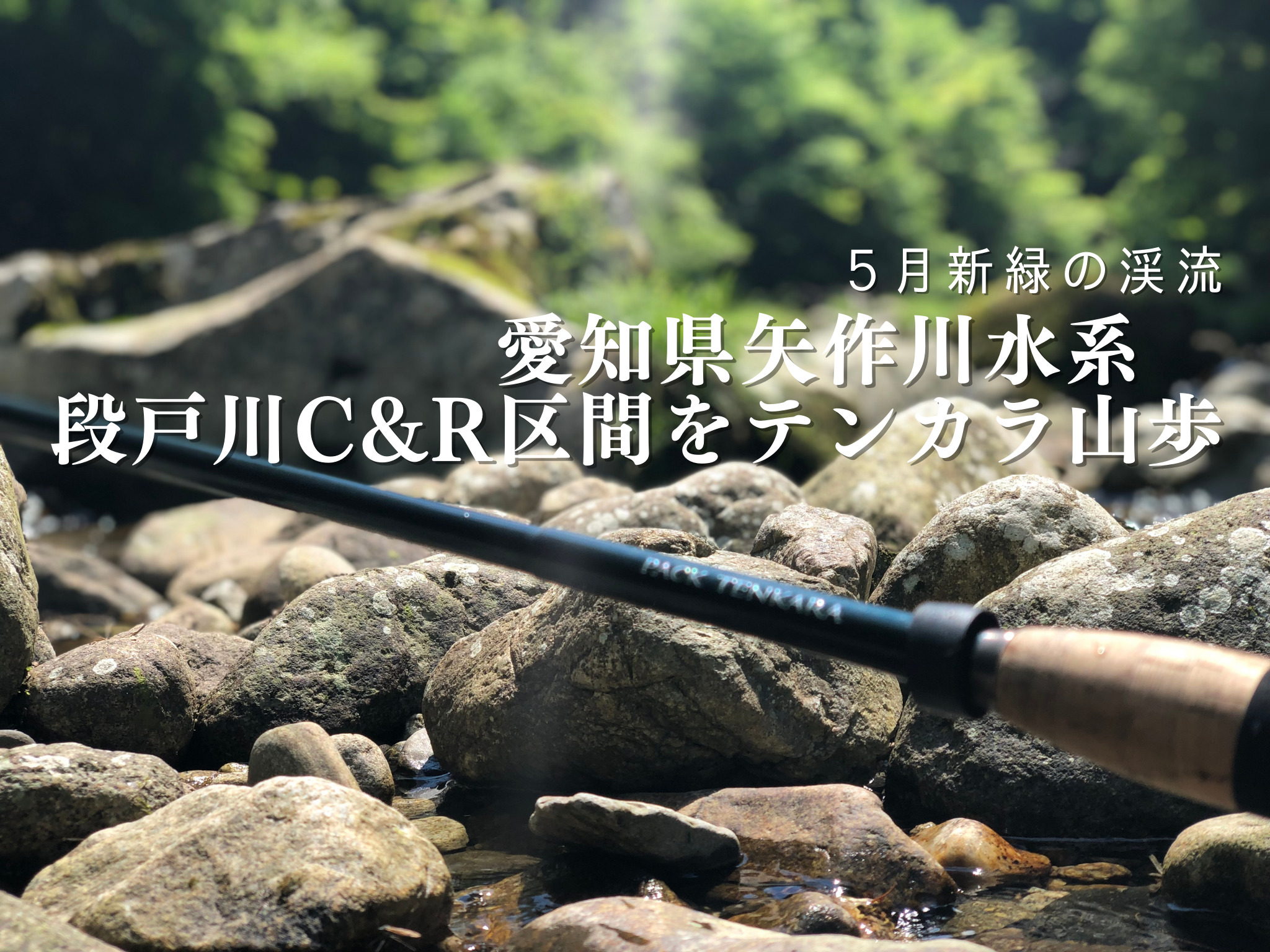 【5月新緑の渓流】愛知県矢作川水系　段戸川 C&R区間をテンカラ山歩