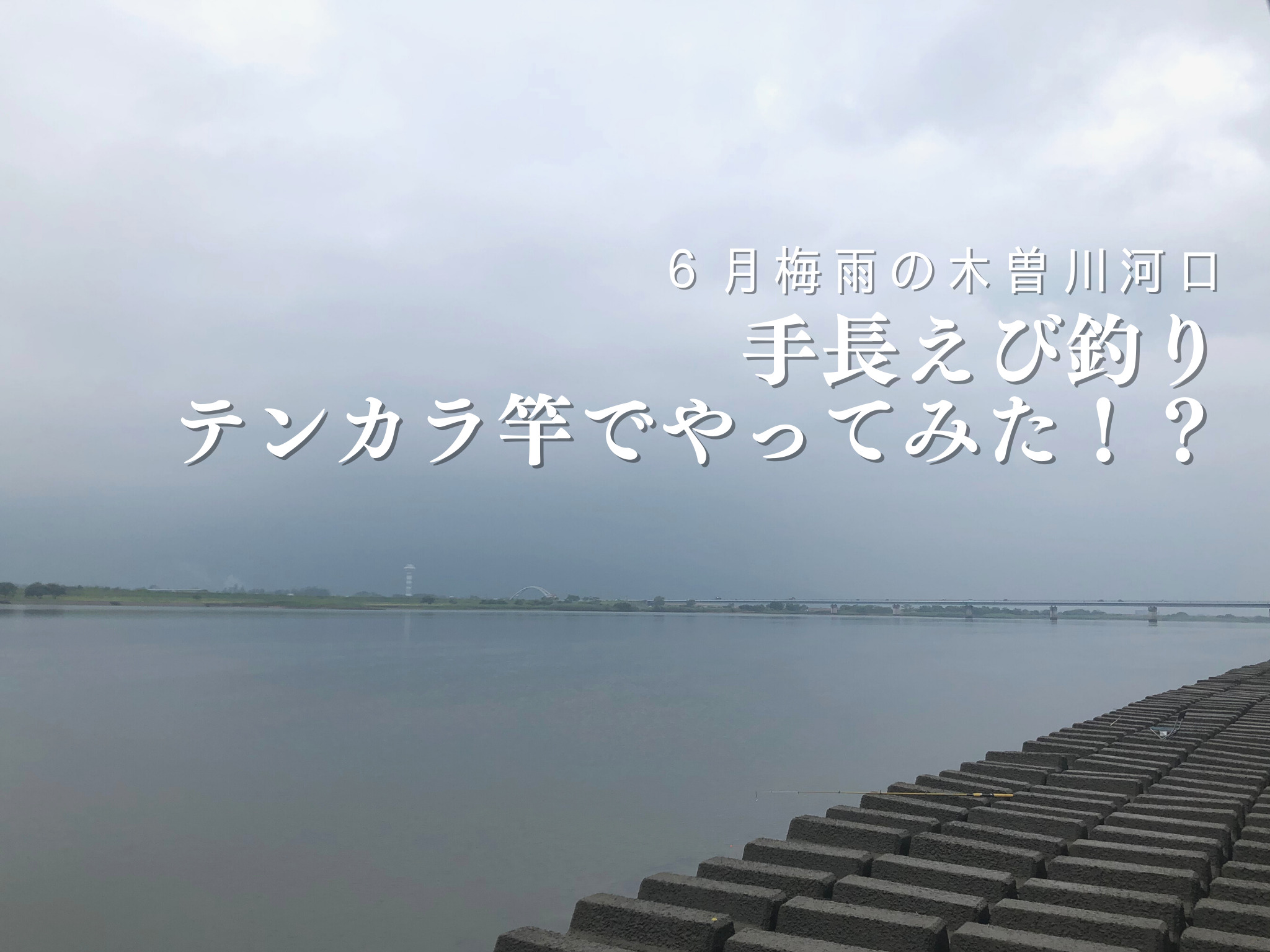 【木曽川河口】テンカラ竿で釣る！？手長えび釣りやってみた。